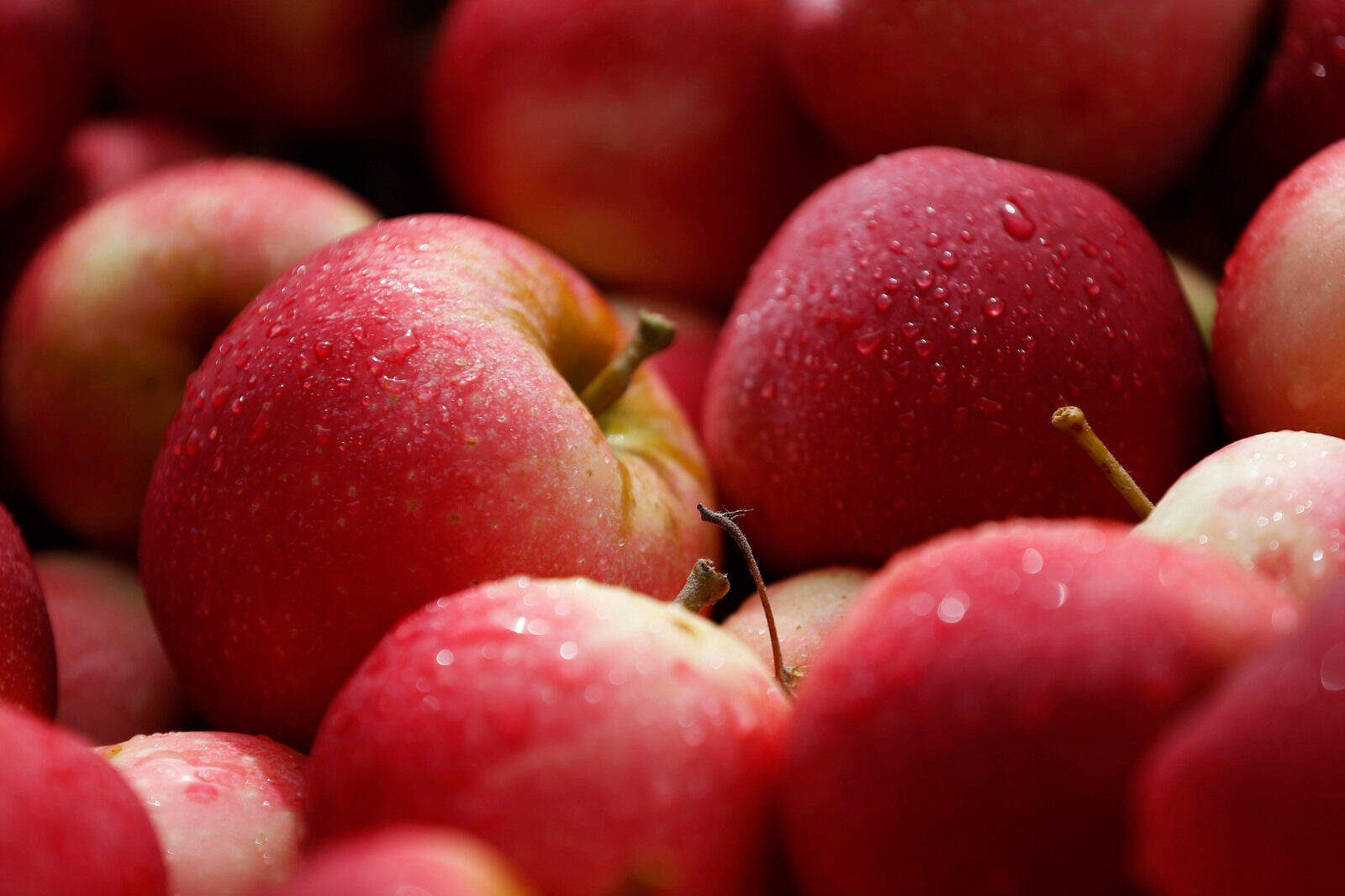 Juicy apples